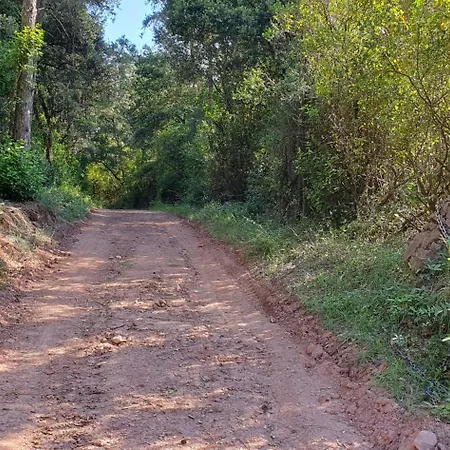 Mas Morrenyà -